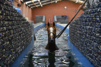 Trainingszwembad paarden met betonkernactivering. Geothermie & bouw: Geo-Thermics & Scheldimmo.